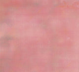 David Sylvian - Blemish (tweedehands CD) - Velvet Music
