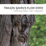 Timuçin Şahin's Flow State - Nothing Bad Can Happen (second-hand CD)