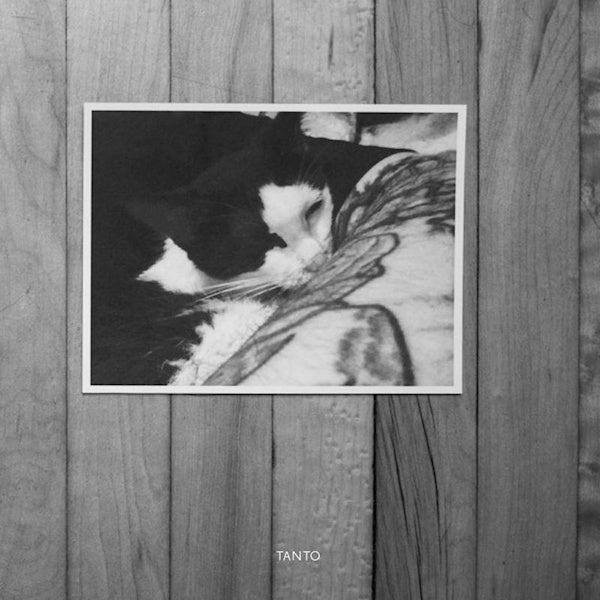 bvdub - Tanto (CD) - Velvet Music