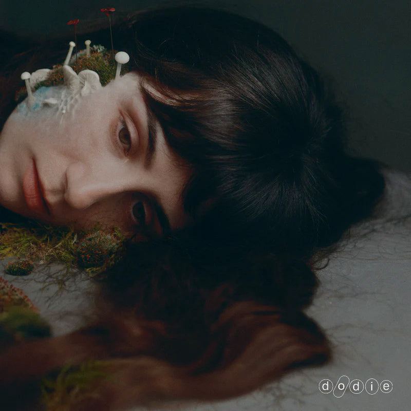 Dodie - Not for lack of trying (CD) - Velvet Music