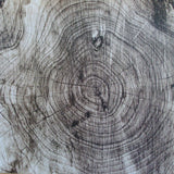 Pressure Drop - Tread (tweedehands LP) - Velvet Music