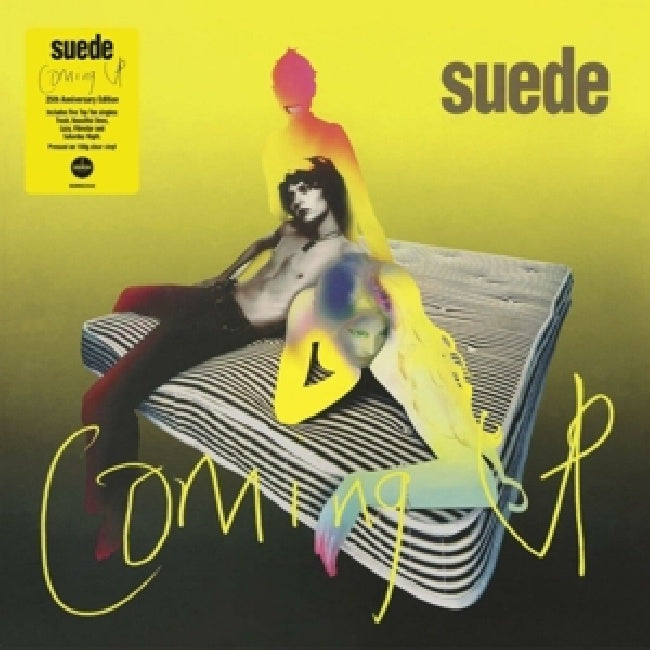 Suede - Coming up (LP) - Velvet Music