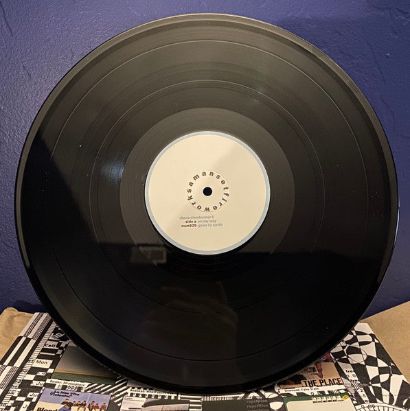 American Analog Set, The - The Fun Of Watching Fireworks (LP) - Velvet Music