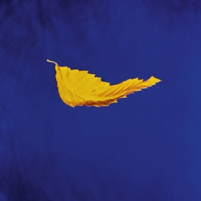 New Order - True faith (maxi 45 tours)