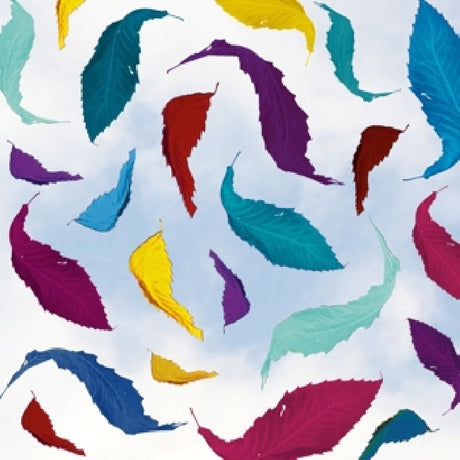 New Order - True faith remix (Preloaded Player audio) - Velvet Music
