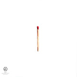 Rammstein - Untitled (tweedehands LP) - Velvet Music
