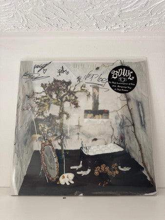 Bowl (4) - The Rude Interruption Of Fear (LP) - Velvet Music