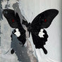 Death Cult - Paradise Now (LP) - Velvet Music