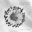 Isabelle Courroy - Confluence #2 - Le Chant Des Sources (tweedehands CD) - Velvet Music