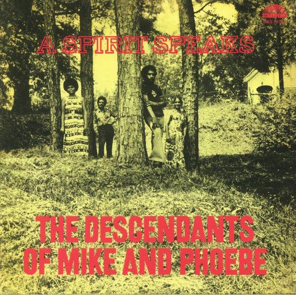 Descendants Of Mike And Phoebe, The - A Spirit Speaks (LP) - Velvet Music