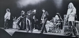 Jimmy Page & Black Crowes, The - Live At The Greek (LP)