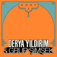 Derya Yildirim & Grup Simsek - Dost 2 (LP) - Velvet Music