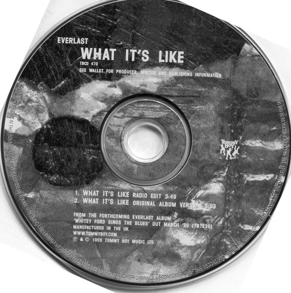 Everlast - What It's Like (tweedehands CD) - Velvet Music