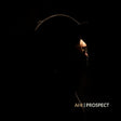 Ahi - Prospect (LP) - Velvet Music