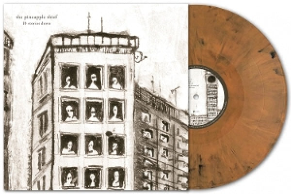 Pineapple Thief - 10 stories down (LP)
