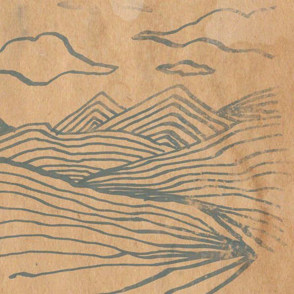 Wooden Wand - Farmer's corner (LP)