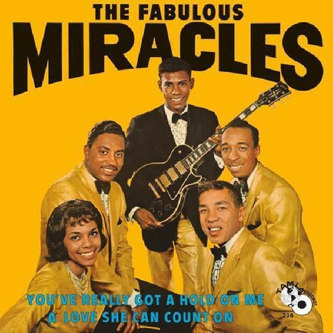 Miracles - You've really got a hold on me (LP) - Velvet Music