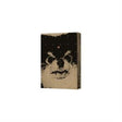 V - Layover (accessoires) - Velvet Music