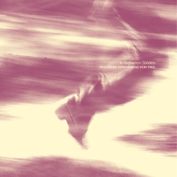 Bees Made Honey In The Vein Tree - In between strides (CD)