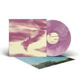 Bees Made Honey In The Vein Tree - In between strides (LP)