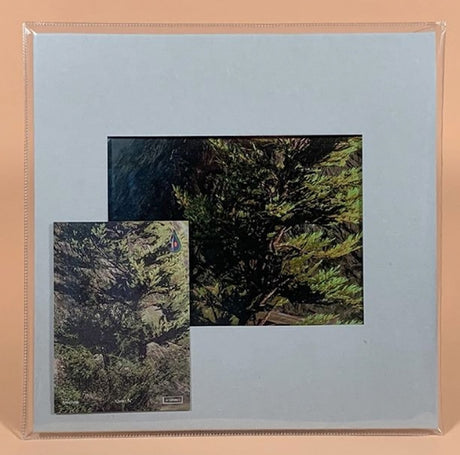 Antenna (11) - Quiet Fx (LP) - Velvet Music