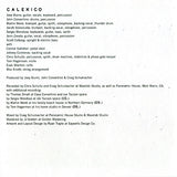 Calexico - The Thread That Keeps Us (tweedehands CD) - Velvet Music