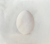 Wilco - A Ghost Is Born (CD) - Velvet Music