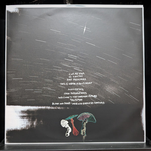 All Them Witches - Dying Surfer Meets His Maker (LP) - Velvet Music