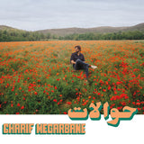 Charif Megarbane - Hawalat = حوالات (LP) - Velvet Music