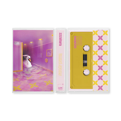 zzzahara - Liminal spaces (muziekcassette) - Velvet Music